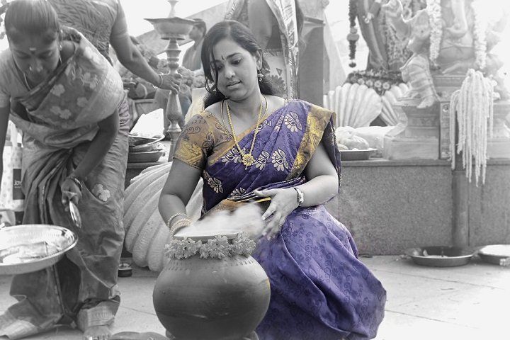 Customs And Traditions Of Pongal Festival
