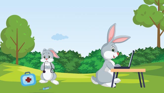 Minnu Rabbit Has  A Tummy Ache And The Doctor Who Makes Everything Better