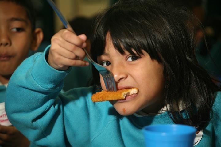 How Fish Is A Great Source Of Nutrition For Your Toddler - Parentcircle