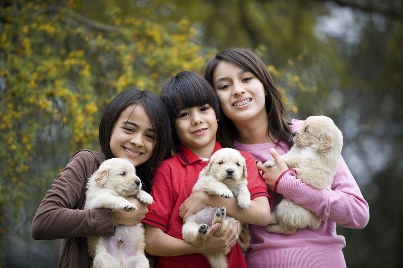Pets and You