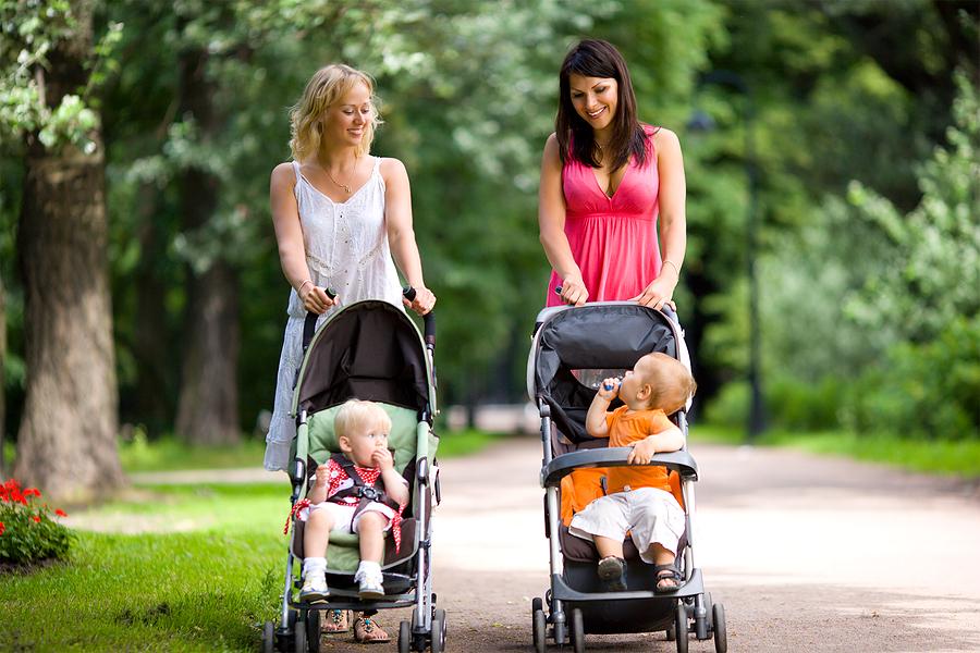 Baby Carriers and Strollers