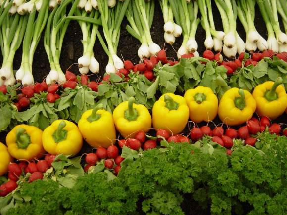 All About Organics | Organic Consumers Association