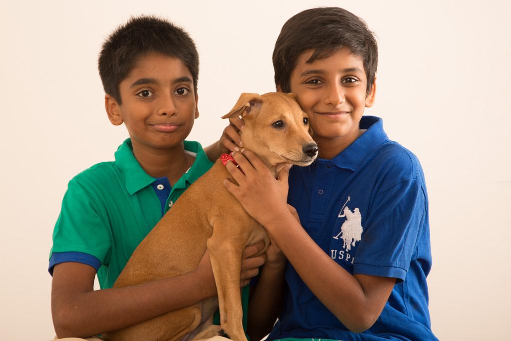 Four Things To Keep In Mind When Buying A Pet For Your Child Four Things To Keep In Mind When Buying A Pet For Your Child