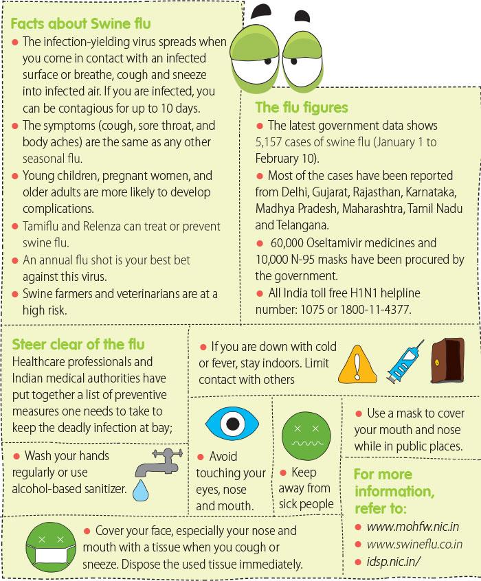Understanding Swine Flu