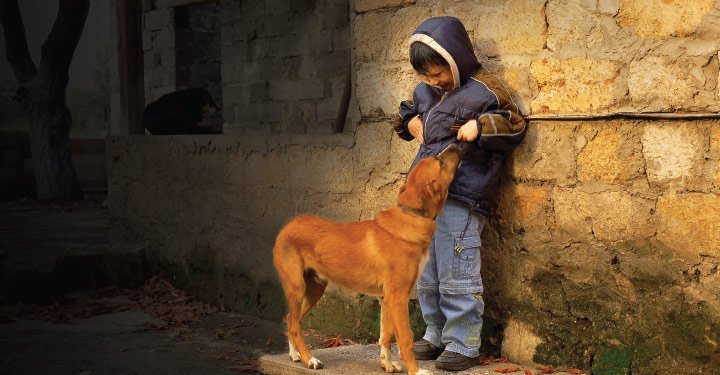 Managing Your Childs Fear Of Animals - Tips to Help Your Child Befriend Them And Stay Safe