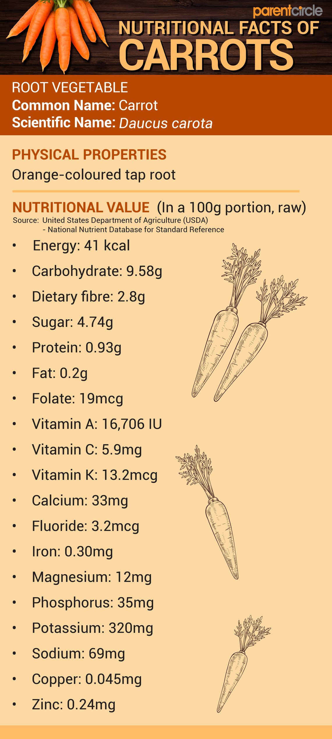 Carrot Nutritional Value per 100g, Carrot Nutrition Facts & Health Benefits,  Carrot Vitamins, Minerals & Calories, Uses of Carrots | ParentCircle