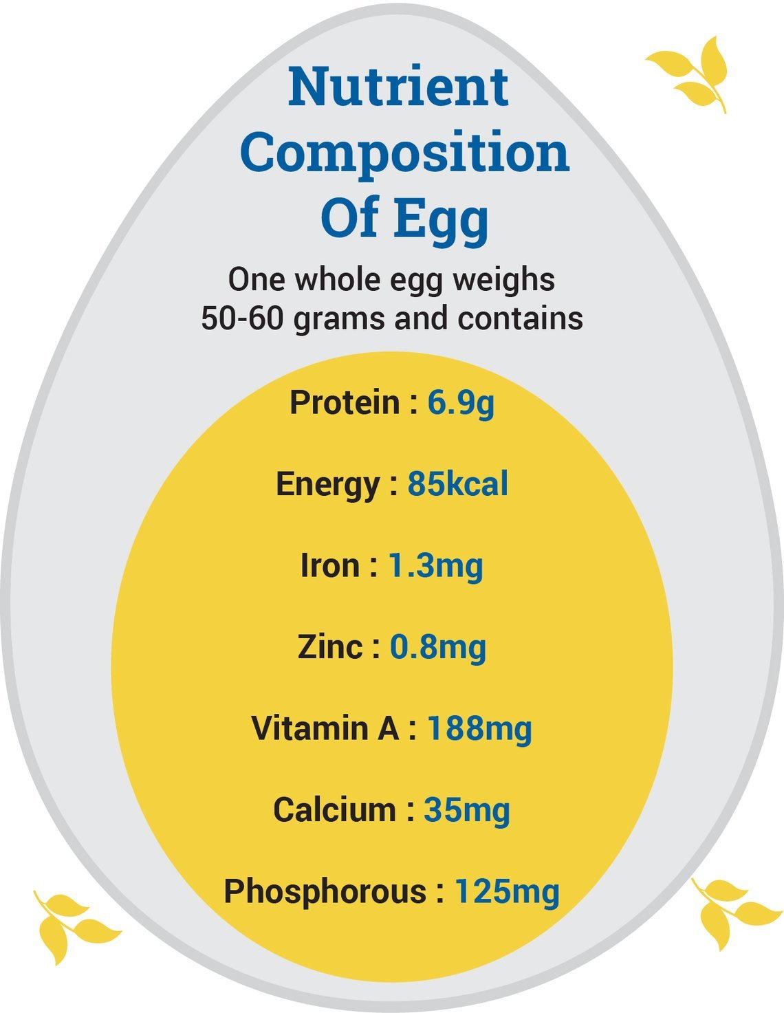Why Eggs Are Important For Your Child's Nutritional Needs
