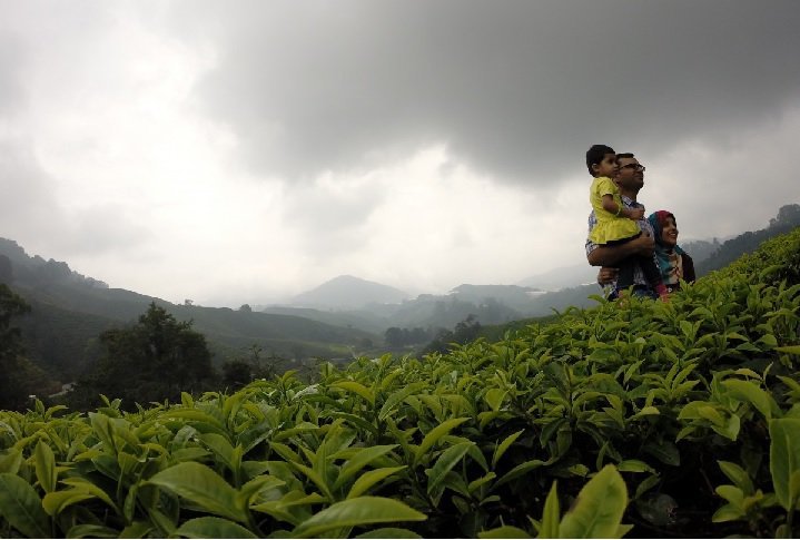 Places To Visit In Summer In India With Family Infoupdate