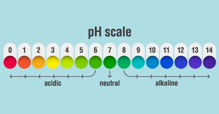 Alkaline Diet Plan, Benefits of Alkaline PH, Non Acidic Foods List