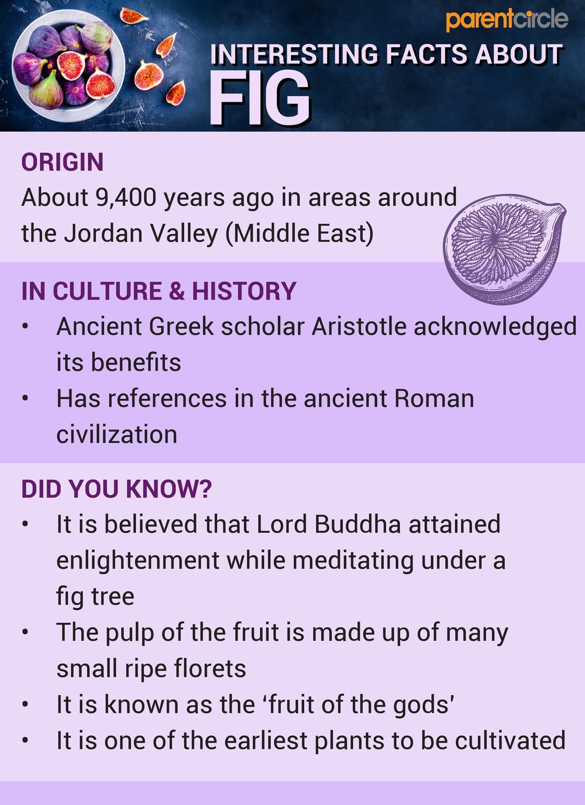 Health Benefits Of Fig