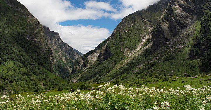 The Valley Of Flowers: A Trip To Remember