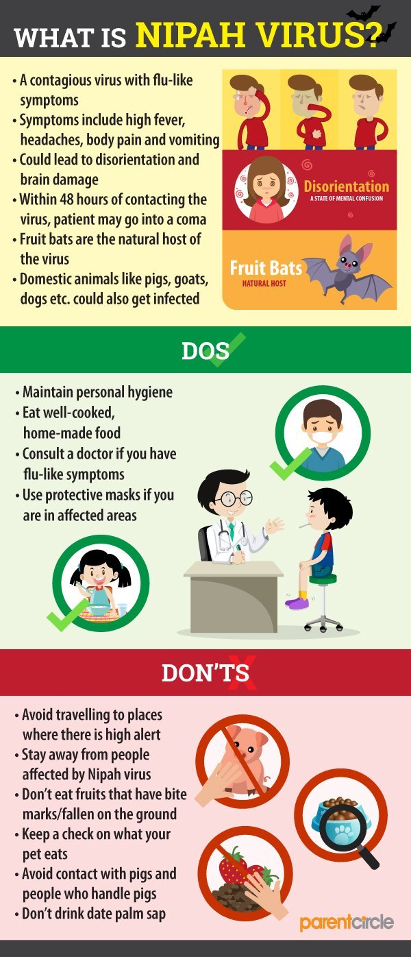 What Is Nipah Virus? All You Need To Know What Is Nipah Virus? All You Need To Know