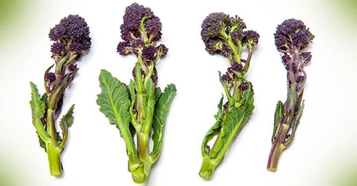 Health Benefits Of Broccoli, Nutrition And Calories