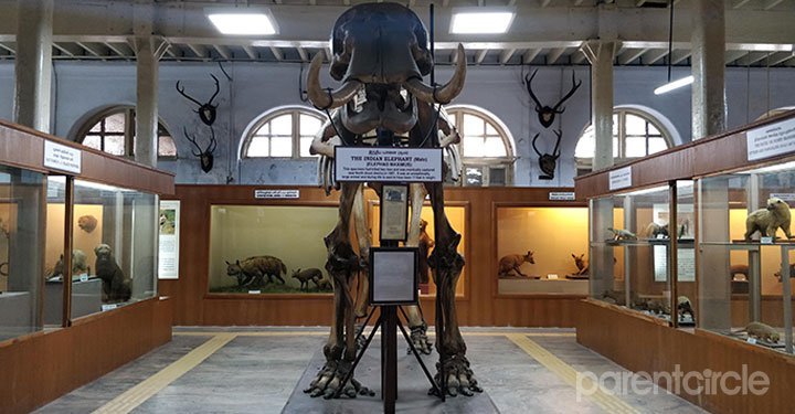 Reasons To Visit Egmore Museum With Your Family