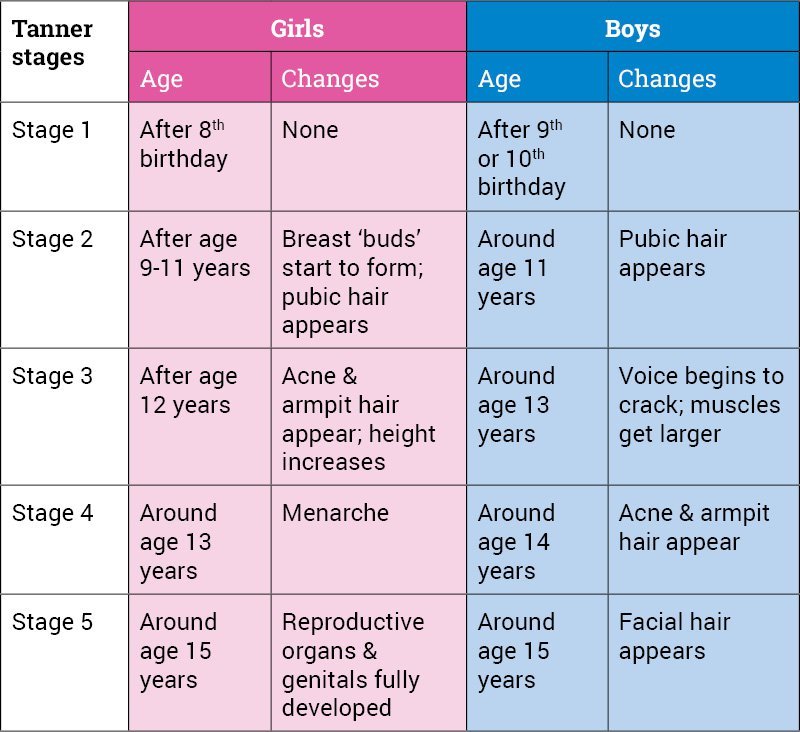 List Five Characteristics Of Adolescent