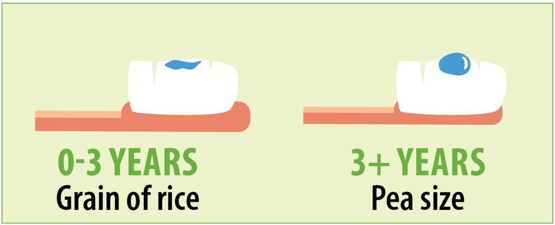 Child's Milk Teeth: What Parents Should Know
