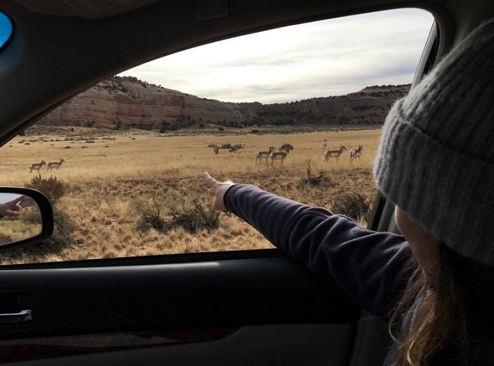 Exciting Games for Kids to Play on a Journey