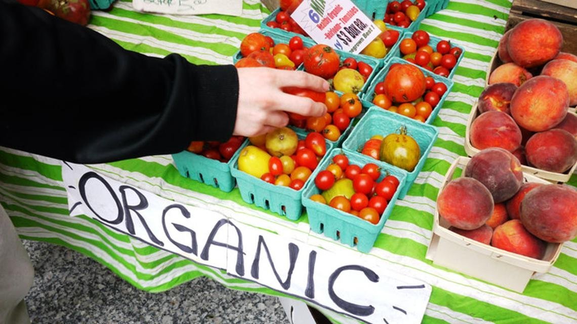 Reasons why organic food is good for your child, Benefits of organic