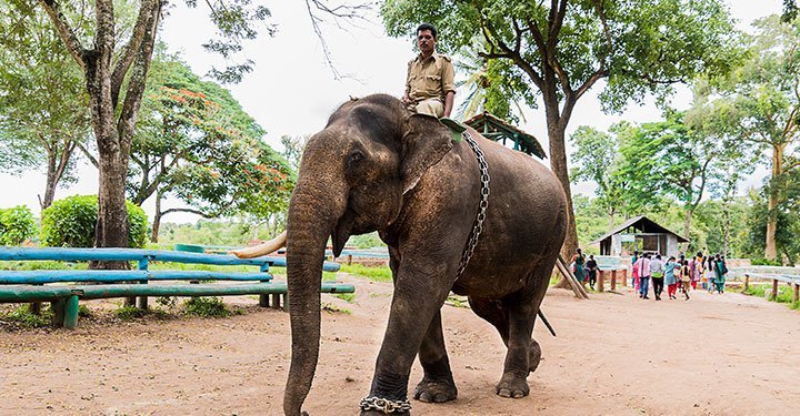 6 Unexplored Places Near Bangalore You Must Visit 6 Unexplored Places Near Bangalore You Must Visit