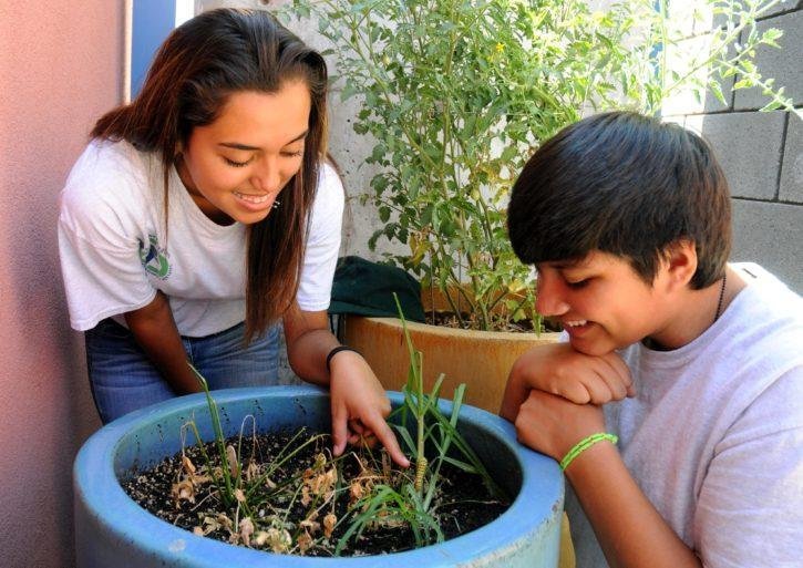 How to get kids interested in gardening and health benefits of gardening for your child