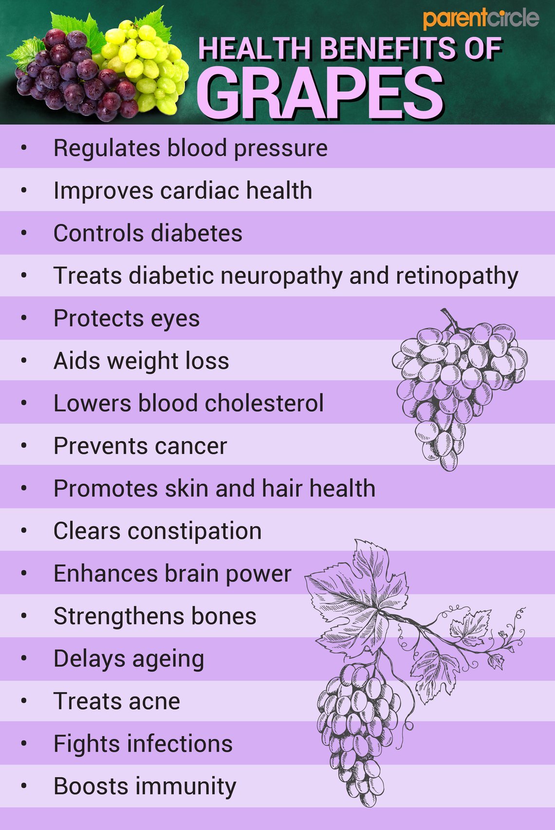 Grapes Nutritional Value per 100g, Grapes Health Benefits & Nutrition  Facts, Grapes Calories and Vitamins, Uses of Grapes | ParentCircle
