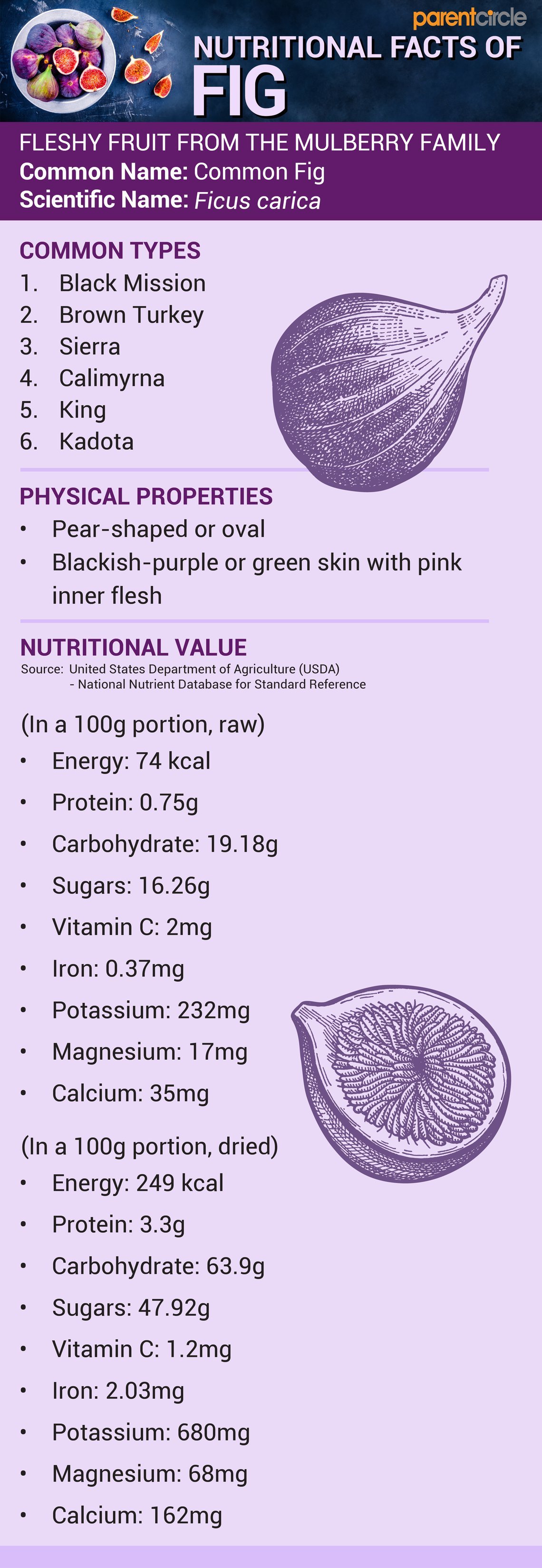 Hubert Hudson fintælling væbner Health Benefits of Figs, Anjeer Fruit Nutritional Value and Calories, Dry  Fig Uses, Figs Benefits for Female and Male | ParentCircle