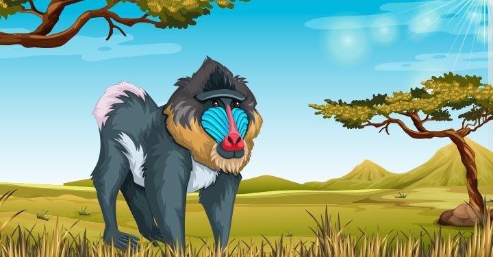 25 Short Animal Poems for Kids