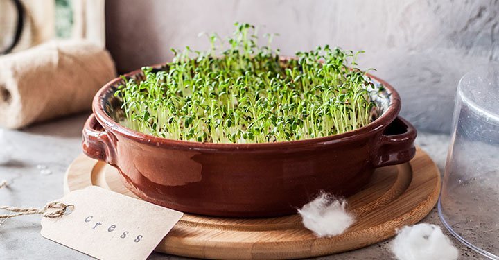 Greens For Kids? Try These 6 Surprisingly Yummy Ways To Make Them