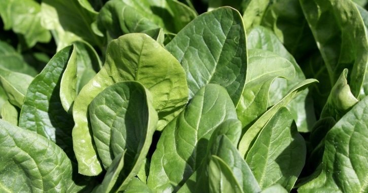 20 Vegetables To Include In Your Child's Diet