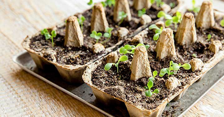 9 Fun Gardening Ideas For Kids