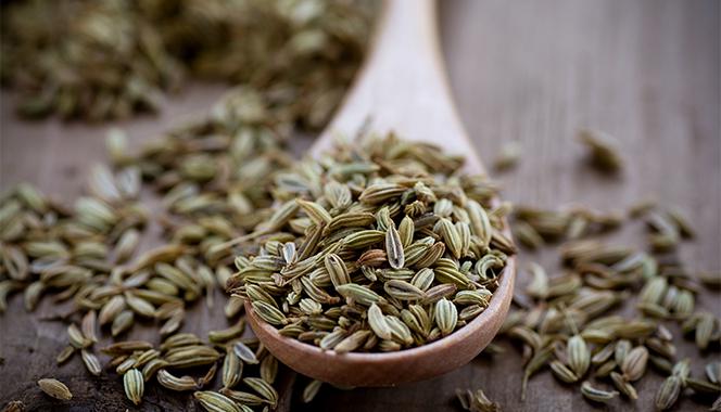 6 health benefits of fennel seeds for babies, its use for treating constipation, respiratory problems and more