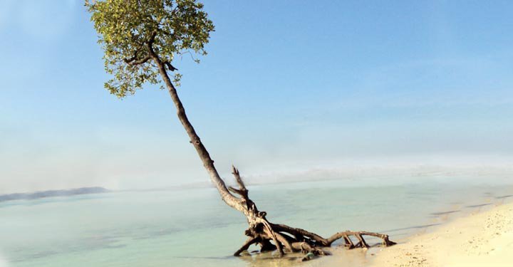 A Trip Of A Lifetime: Andaman Islands