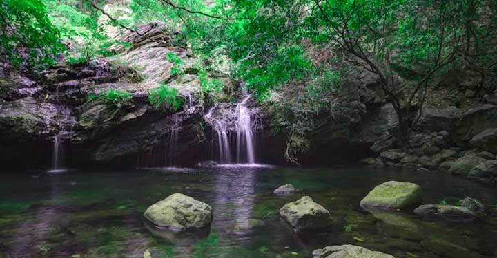 6 Best Trekking Places In India