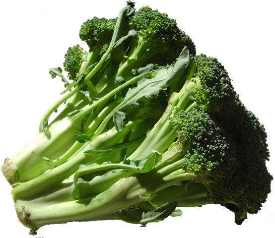 Brain Foods For Your Budding Genius