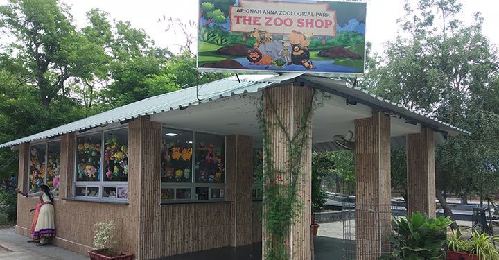 Virtual Zoo Tour For Kids - World Wildlife Day