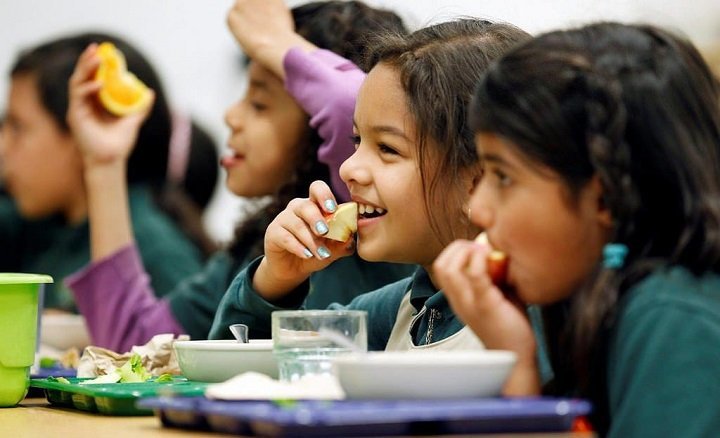 Daunted by what to pack in your little one’s tiffin ? Here are 5 quick and healthy lunchbox recipes 