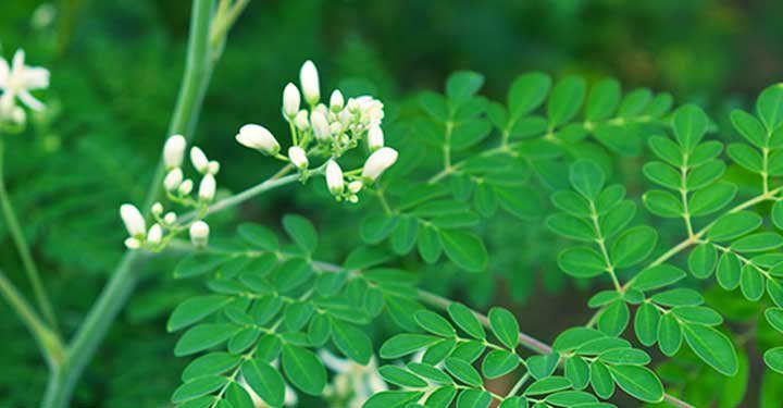 7 Calcium Rich Foods For Kids