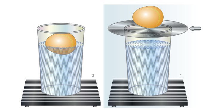 8 Easy And Fun Science Experiments For Children