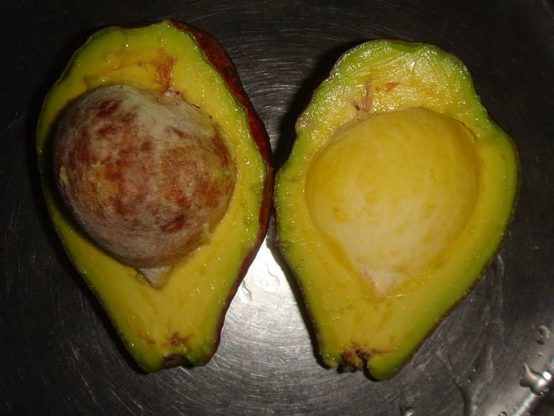 Top 10 Superfoods For Good Health