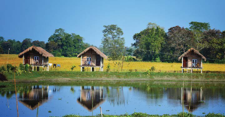 8 Incredible Tales From India: From Swimming Camels To Man-Eating Tigers And Other Hidden Wonders