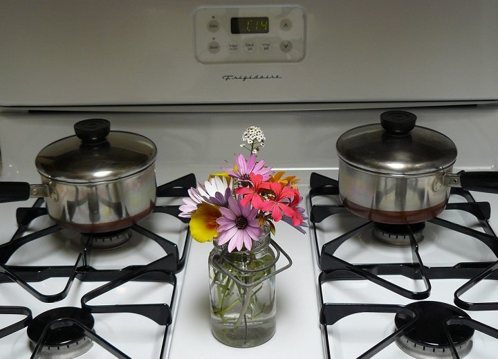 Buyer's Guide: How To Choose The Right Kitchen Appliances For Your Home