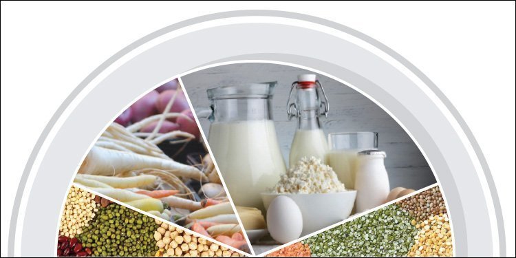 Guide to healthy food plate: Nutrient-rich daily meal plans for your child