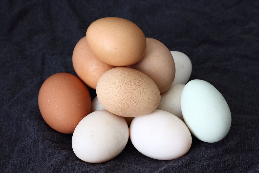 Planning to have an egg today? Why Eggs Are Important For Your Child's Nutritional Needs