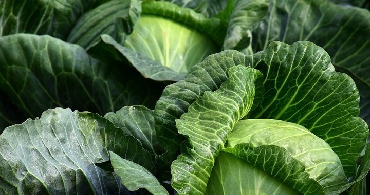 20 Vegetables To Include In Your Child's Diet