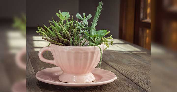 9 Fun Gardening Ideas For Kids