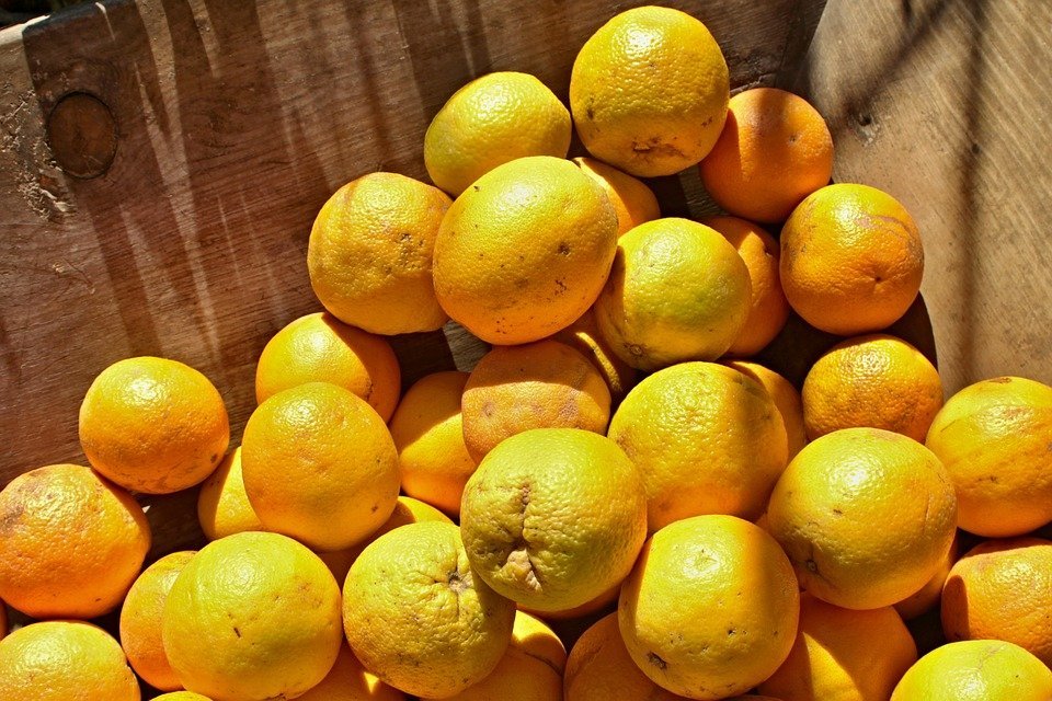 5 Nutrition-Rich Foods For Young Athletes 5 Nutrition-Rich Foods For Young Athletes