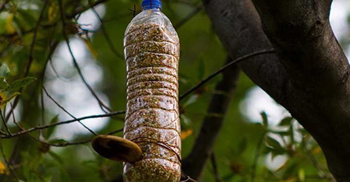 9 Fun Gardening Ideas For Kids