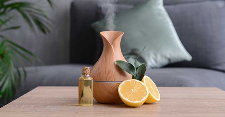 8 Natural Ways To Purify The Air At Home 8 Natural Ways To Purify The Air At Home