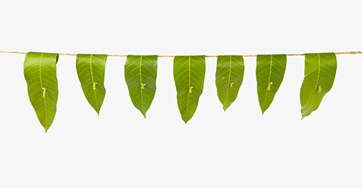 5 Easy Indian Arts And Crafts Ideas For Kids