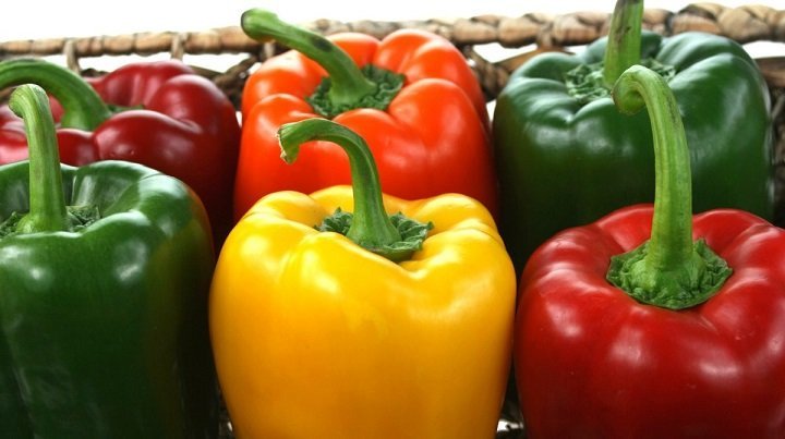 20 Vegetables To Include In Your Child's Diet